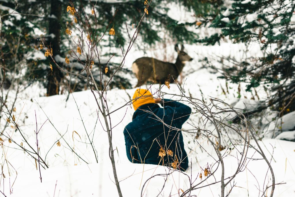 Encounters That Show How Fast Wildlife Situations Can Change ...