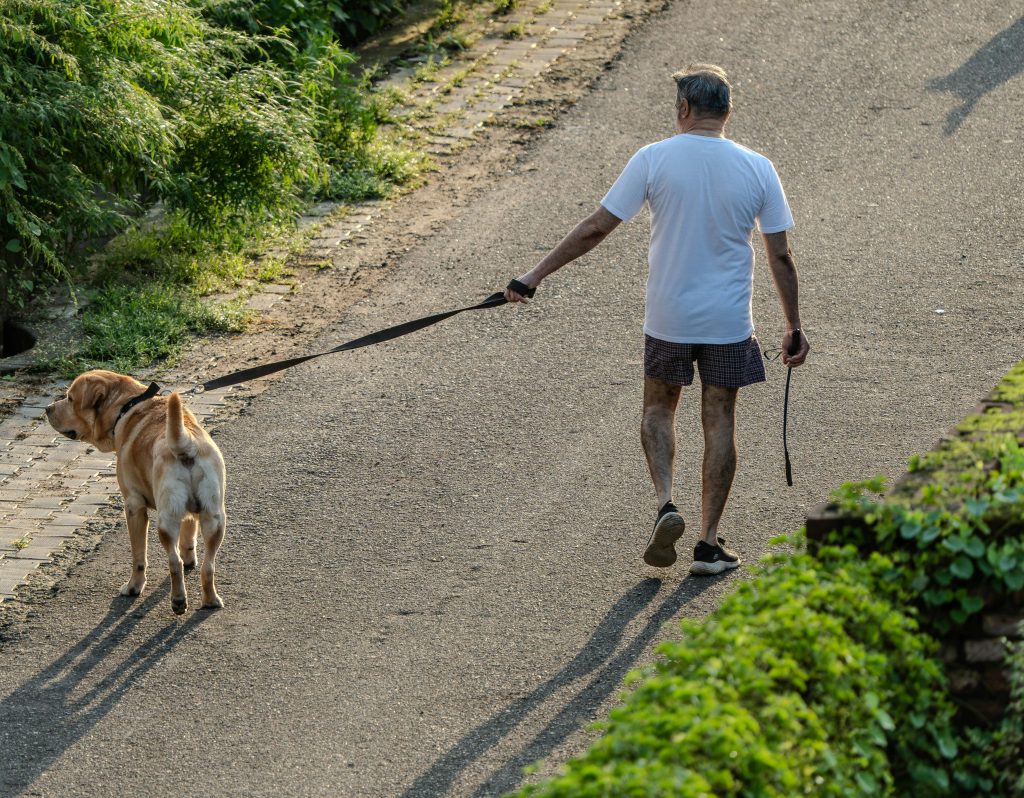 Encounters That Show How Fast Wildlife Situations Can Change ...